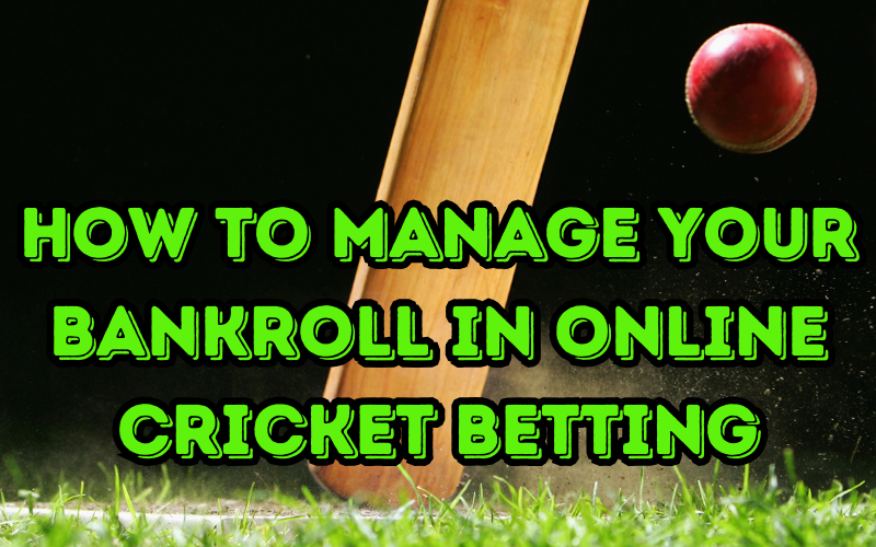 online cricket betting