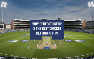 Best Cricket Betting App in India featured image